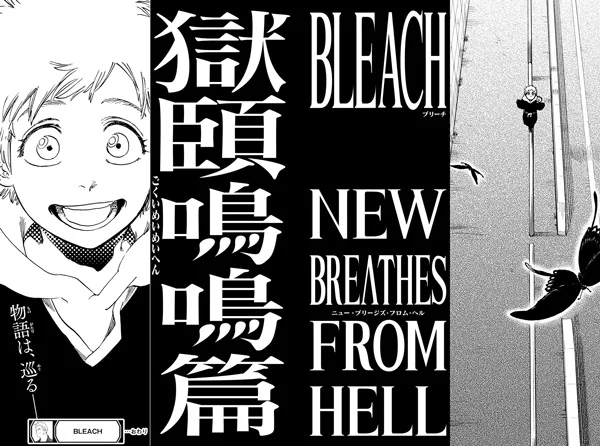 Capa de Bleach: Gokui Meimei-hen